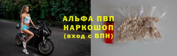 стафф Алексин