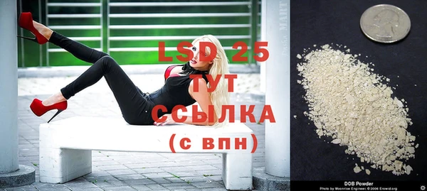 стафф Алексин