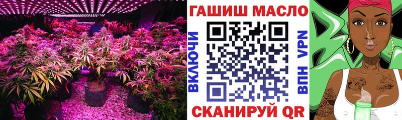 купить наркоту  Балашов  Дистиллят ТГК концентрат 