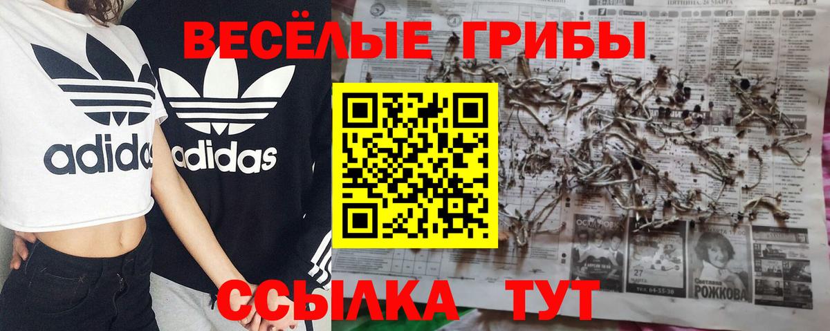 Галлюциногенные грибы Cubensis  Вход с VPN  Галлюциногенные грибы Magic Shrooms  Балашов 